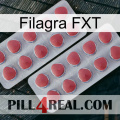 Filagra FXT 19